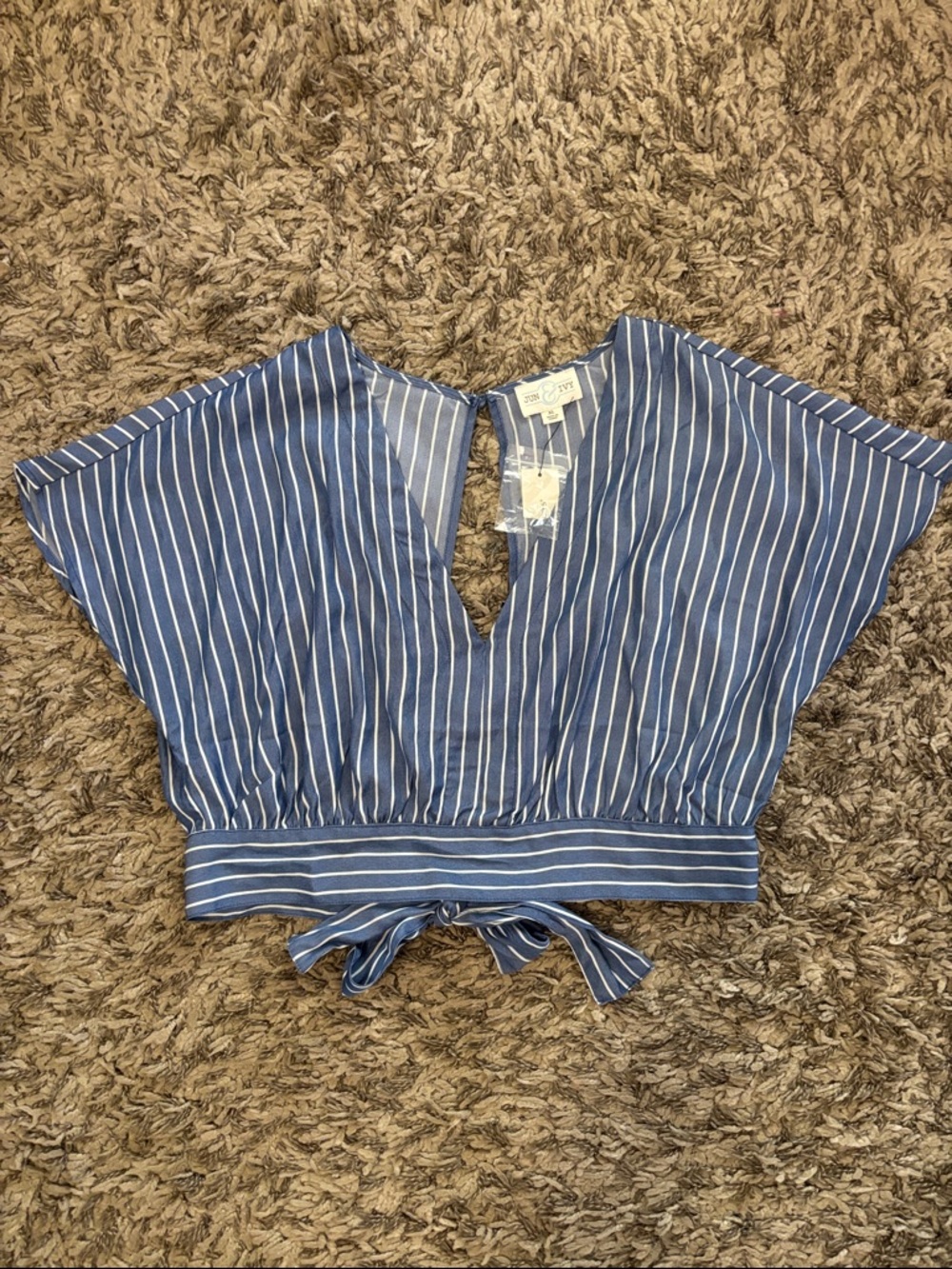 Blue Striped V-Neck Tie-Back Crop Top NWT
